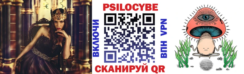 Псилоцибиновые грибы мицелий  Набережные Челны 